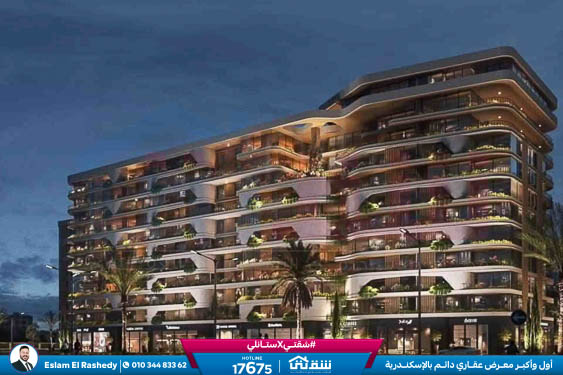 WhatsApp Image 2026-01-04 at 1.22.25 PM