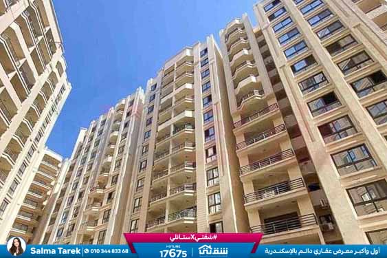 WhatsApp Image 2026-01-05 at 1.08.40 PM