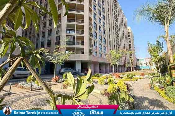 WhatsApp Image 2026-01-05 at 1.08.42 PM (1)