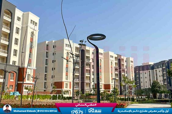 WhatsApp Image 2026-01-05 at 4.50.38 PM