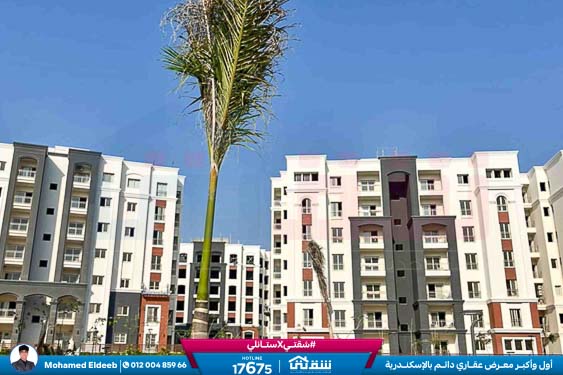 WhatsApp Image 2026-01-05 at 4.50.58 PM