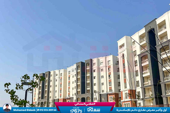 WhatsApp Image 2026-01-05 at 4.51.18 PM