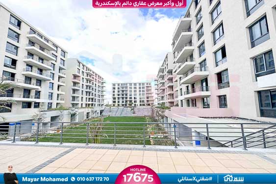 WhatsApp Image 2026-01-06 at 10.32.20 AM (1)