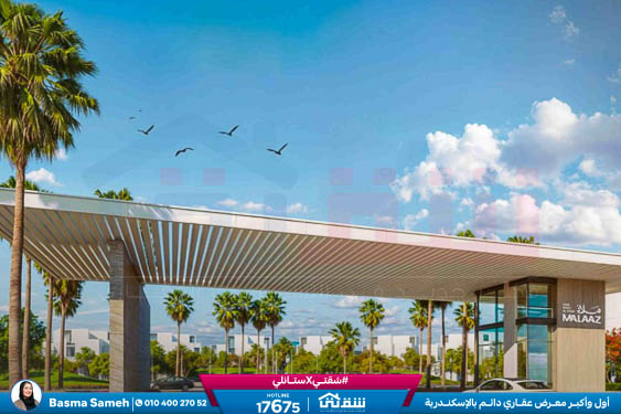 WhatsApp Image 2026-01-08 at 11.30.51 AM