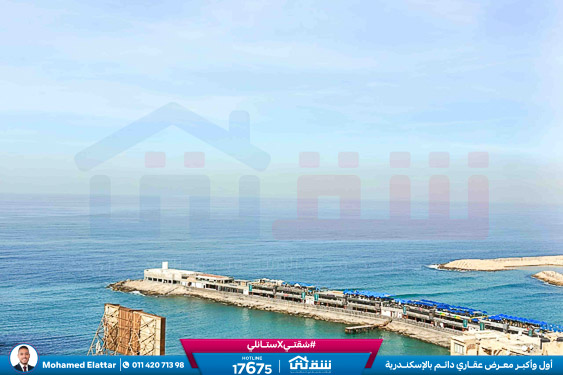 WhatsApp Image 2026-01-11 at 10.15.45 AM