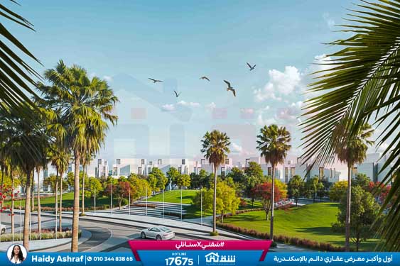 WhatsApp Image 2026-01-11 at 11.15.12 AM