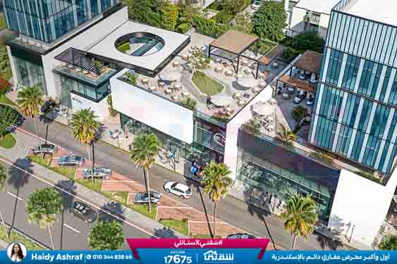 WhatsApp Image 2026-01-11 at 11.15.15 AM