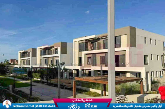 WhatsApp Image 2026-01-11 at 11.36.14 AM