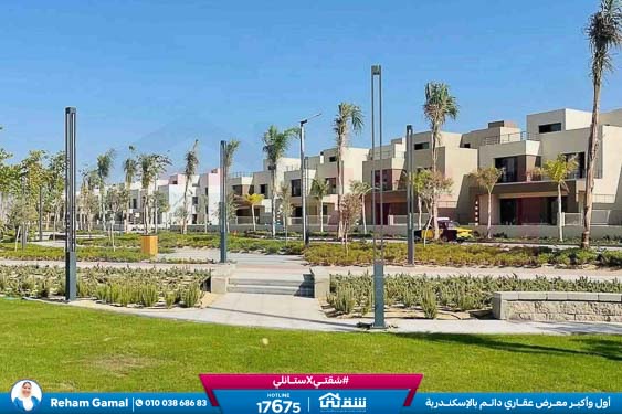 WhatsApp Image 2026-01-11 at 11.36.18 AM