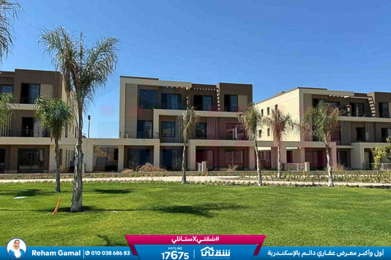 WhatsApp Image 2026-01-11 at 11.36.19 AM