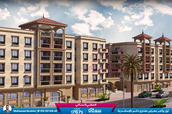 WhatsApp Image 2026-01-11 at 11.44.25 AM