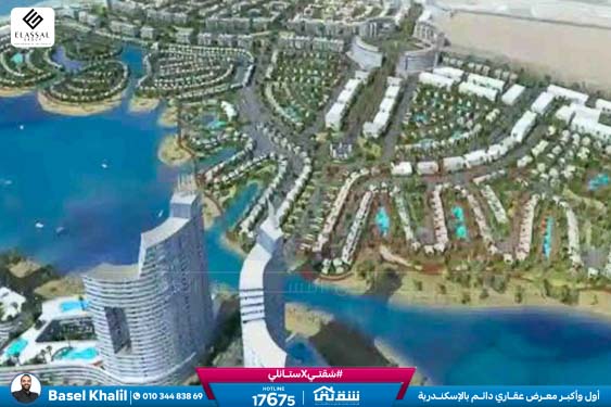 WhatsApp Image 2026-01-11 at 2.25.28 PM