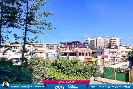 WhatsApp Image 2026-01-12 at 11.34.09 AM