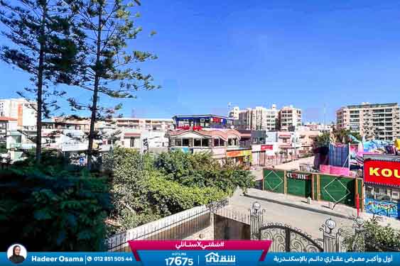 WhatsApp Image 2026-01-12 at 11.34.14 AM