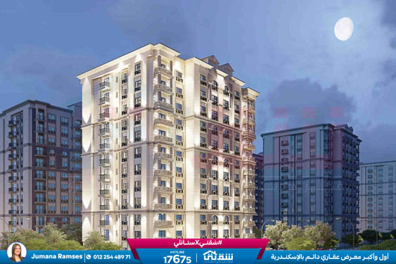 WhatsApp Image 2026-01-12 at 8.41.36 PM (1)