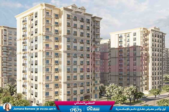 WhatsApp Image 2026-01-12 at 8.41.36 PM