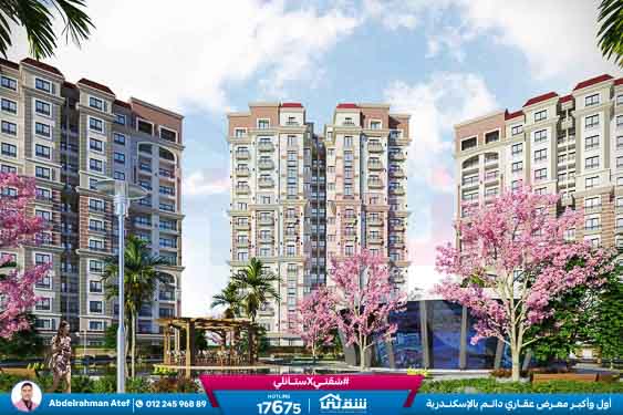 WhatsApp Image 2026-01-14 at 1.20.01 PM