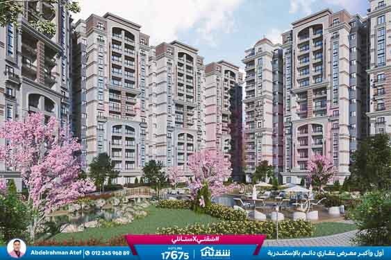 WhatsApp Image 2026-01-14 at 1.20.05 PM