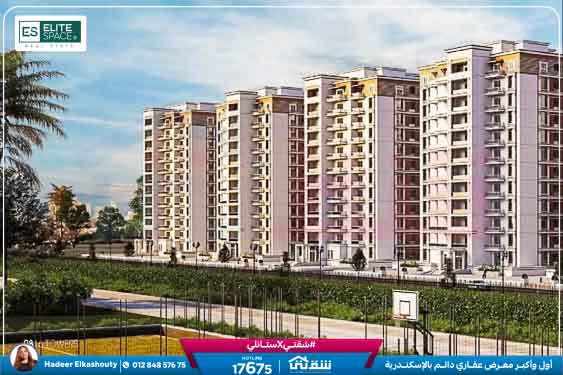 WhatsApp Image 2026-01-14 at 4.44.42 PM (1)