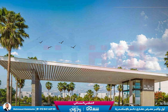 WhatsApp Image 2026-01-15 at 10.29.02 AM (1)