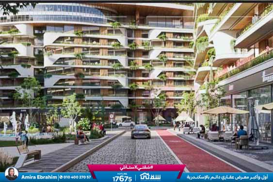 WhatsApp Image 2026-01-15 at 5.01.43 PM (2)