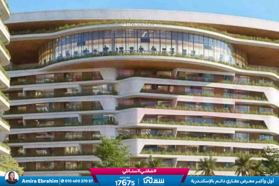 WhatsApp Image 2026-01-15 at 5.01.57 PM