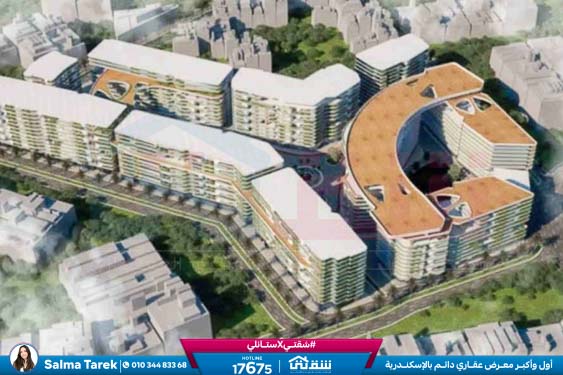 WhatsApp Image 2026-01-15 at 5.02.02 PM