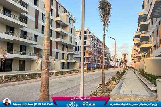 WhatsApp Image 2026-01-17 at 2.12.22 PM