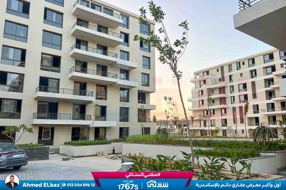 WhatsApp Image 2026-01-17 at 2.12.23 PM