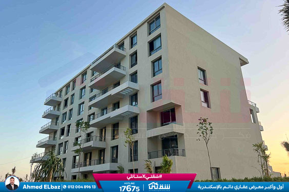 WhatsApp Image 2026-01-17 at 2.12.24 PM