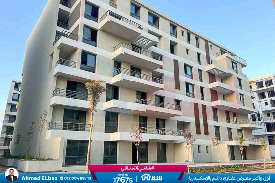 WhatsApp Image 2026-01-17 at 2.12.34 PM