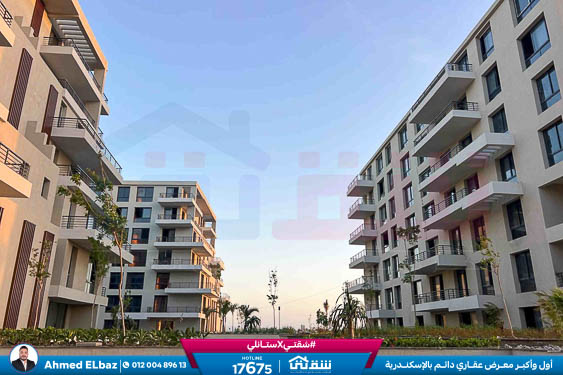 WhatsApp Image 2026-01-17 at 2.12.39 PM