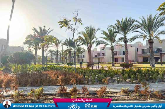 WhatsApp Image 2026-01-17 at 2.14.33 PM