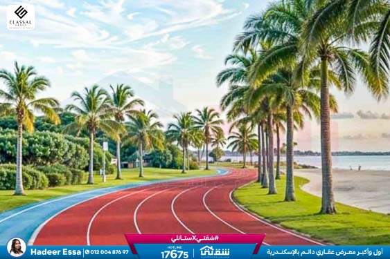 WhatsApp Image 2026-01-17 at 2.56.03 PM (1)