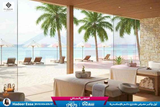 WhatsApp Image 2026-01-17 at 2.56.03 PM