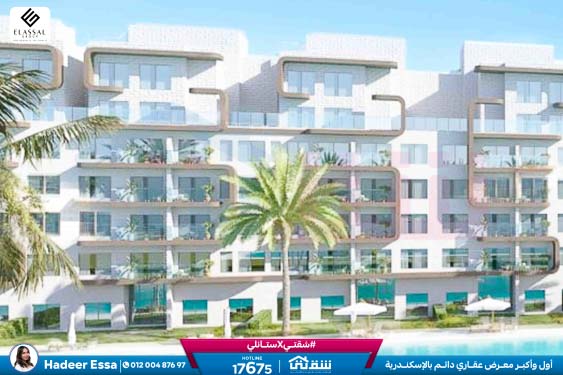 WhatsApp Image 2026-01-17 at 2.56.04 PM (1)