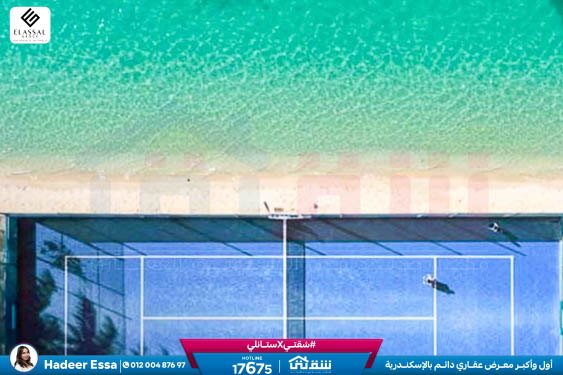 WhatsApp Image 2026-01-17 at 2.56.04 PM