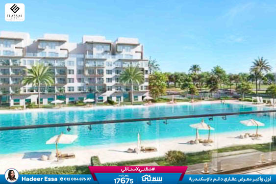 WhatsApp Image 2026-01-17 at 2.56.05 PM (1)