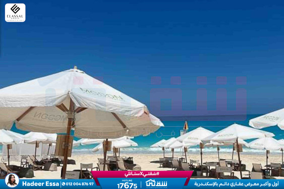 WhatsApp Image 2026-01-17 at 2.56.06 PM (1)