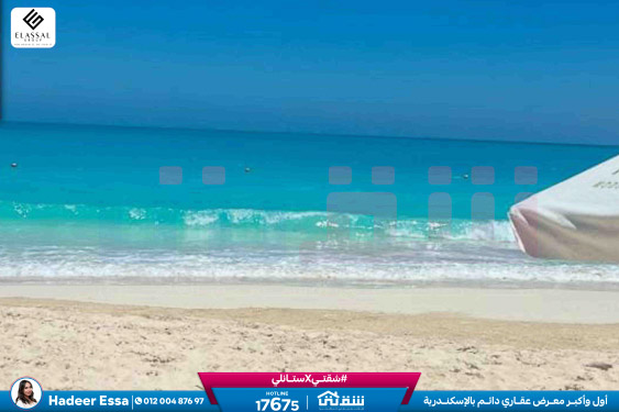 WhatsApp Image 2026-01-17 at 2.56.06 PM