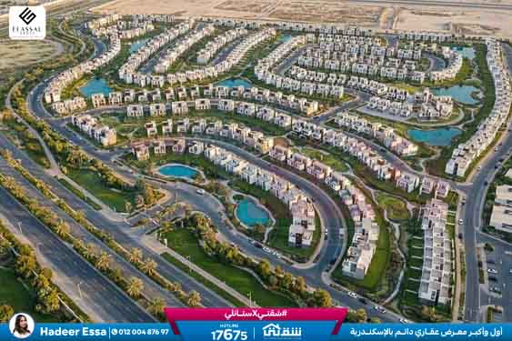 WhatsApp Image 2026-01-17 at 2.57.03 PM