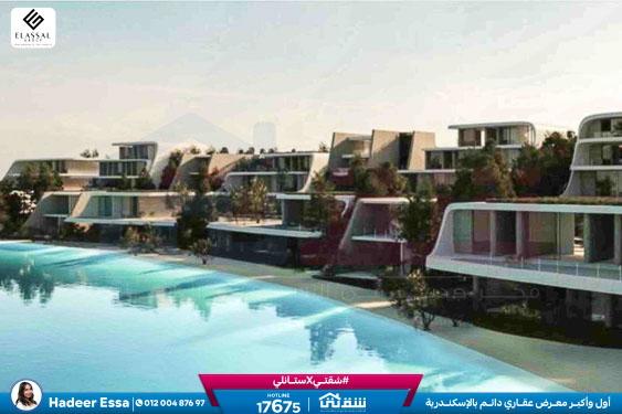 WhatsApp Image 2026-01-17 at 2.57.06 PM