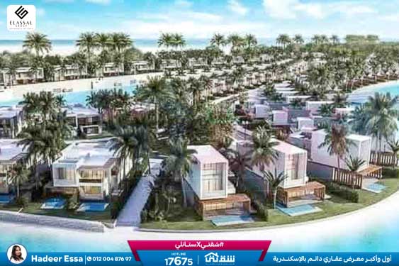 WhatsApp Image 2026-01-17 at 2.57.07 PM (1)