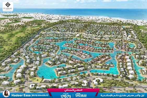 WhatsApp Image 2026-01-17 at 2.57.08 PM (1)