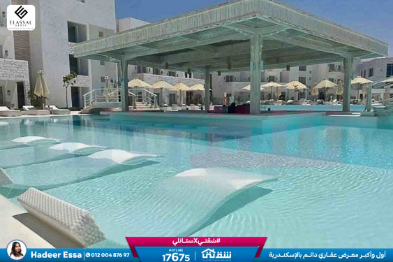 WhatsApp Image 2026-01-17 at 2.57.08 PM