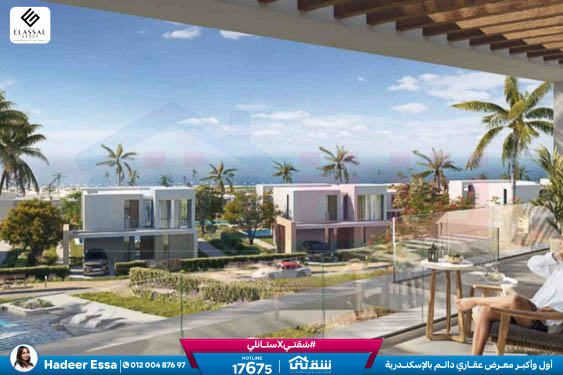 WhatsApp Image 2026-01-17 at 2.57.09 PM