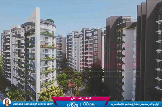 WhatsApp Image 2026-01-18 at 1.40.42 PM (1)