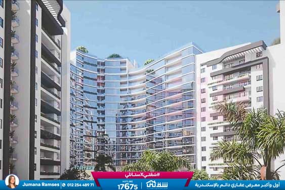 WhatsApp Image 2026-01-18 at 1.40.42 PM (3)