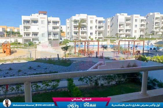 WhatsApp Image 2026-01-18 at 10.38.18 AM (1)