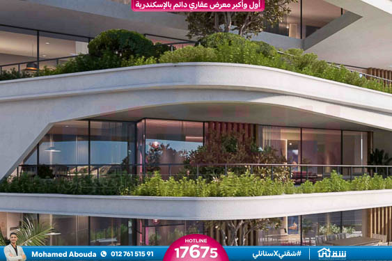 WhatsApp Image 2026-01-18 at 11.03.55 AM